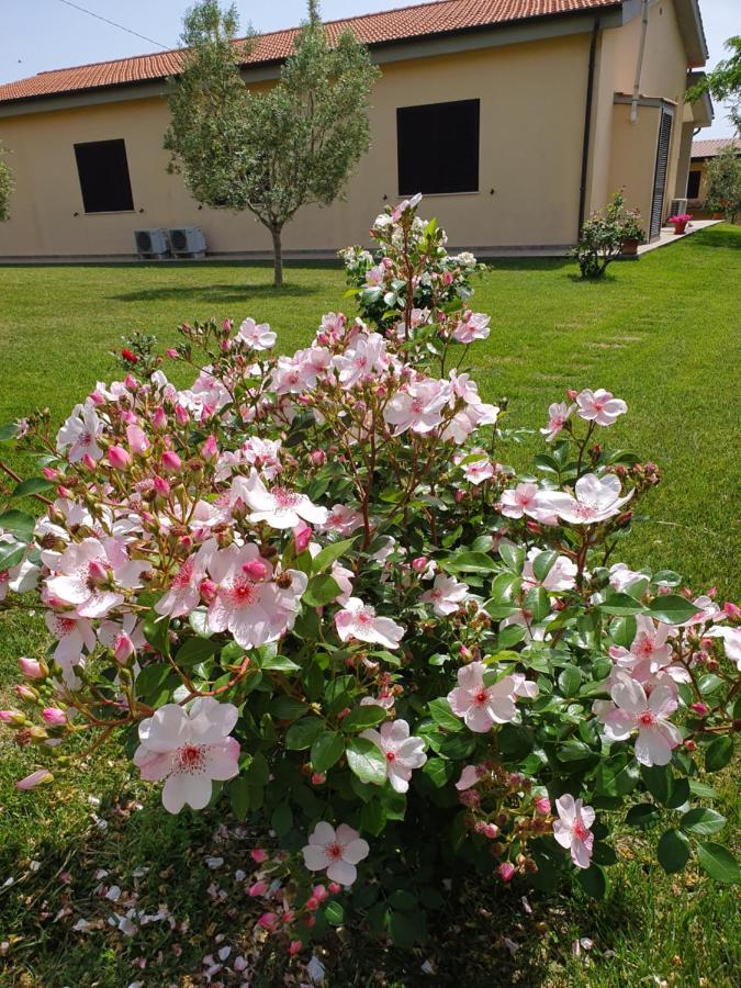 Agriturismo Severini فونتيبلاندا المظهر الخارجي الصورة